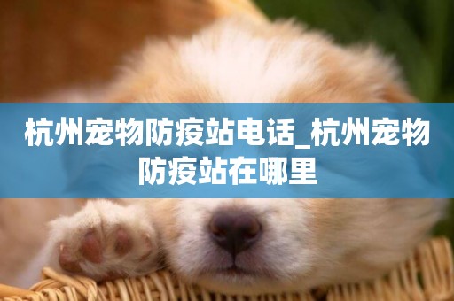 杭州寵物防疫站電話_杭州寵物防疫站在哪里