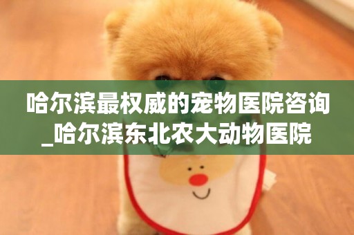 哈爾濱最權威的寵物醫院咨詢_哈爾濱東北農大動物醫院
