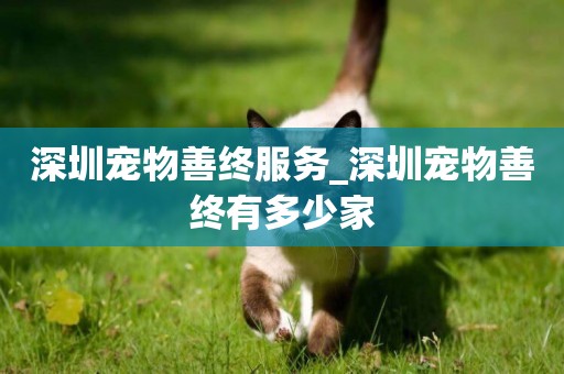 深圳寵物善終服務_深圳寵物善終有多少家