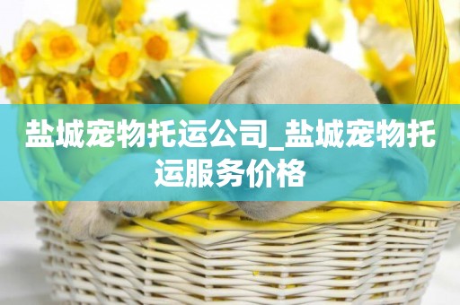 鹽城寵物托運公司_鹽城寵物托運服務價格