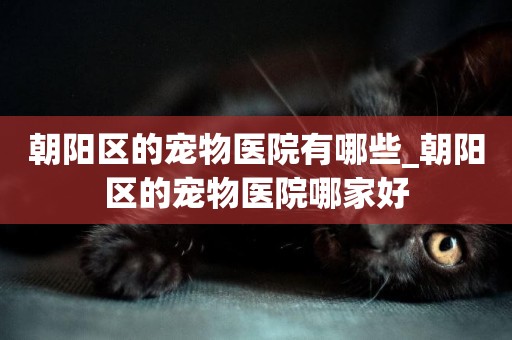 朝陽區的寵物醫院有哪些_朝陽區的寵物醫院哪家好