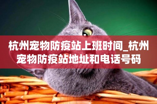 杭州寵物防疫站上班時間_杭州寵物防疫站地址和電話號碼