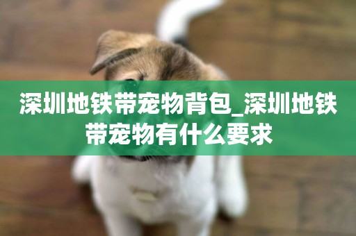 深圳地鐵帶寵物背包_深圳地鐵帶寵物有什么要求