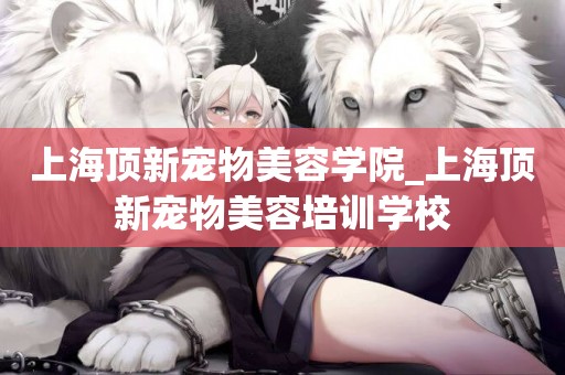 上海頂新寵物美容學院_上海頂新寵物美容培訓學校