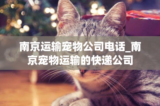 南京運輸寵物公司電話_南京寵物運輸的快遞公司