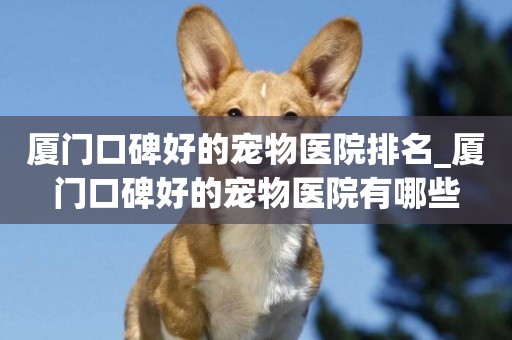 廈門口碑好的寵物醫院排名_廈門口碑好的寵物醫院有哪些