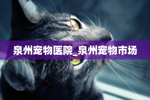 泉州寵物醫院_泉州寵物市場