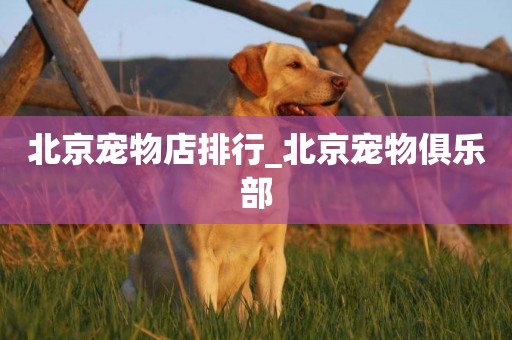 北京寵物店排行_北京寵物俱樂部