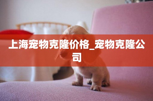 上海寵物克隆價格_寵物克隆公司