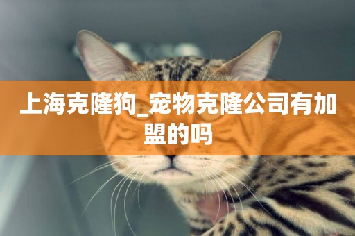 上海克隆狗_寵物克隆公司有加盟的嗎