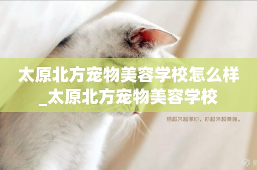 太原北方寵物美容學校怎么樣_太原北方寵物美容學校