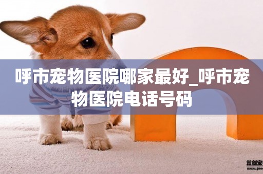 呼市寵物醫院哪家最好_呼市寵物醫院電話號碼