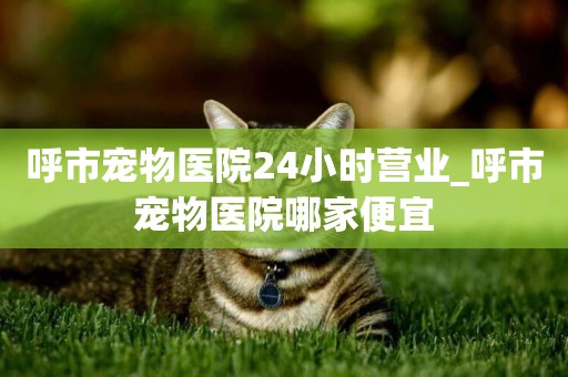 呼市寵物醫院24小時營業_呼市寵物醫院哪家便宜
