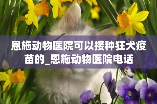恩施動物醫院可以接種狂犬疫苗的_恩施動物醫院電話