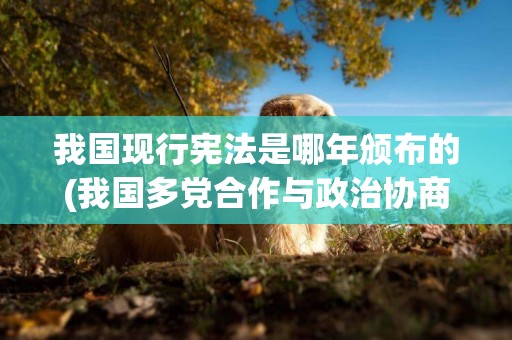 我國現行憲法是哪年頒布的(我國多黨合作與政治協商的最高原則是什么) 