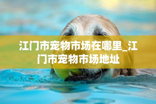江門市寵物市場在哪里_江門市寵物市場地址