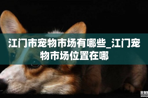 江門市寵物市場有哪些_江門寵物市場位置在哪