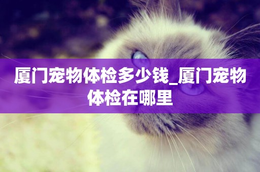 廈門寵物體檢多少錢_廈門寵物體檢在哪里
