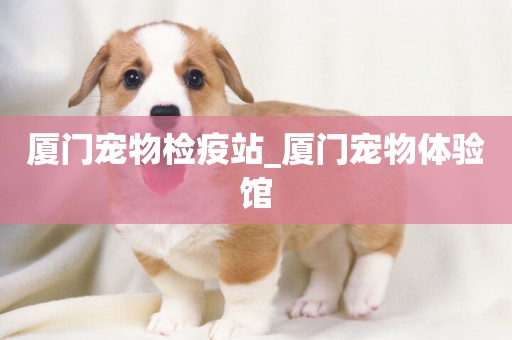 廈門寵物檢疫站_廈門寵物體驗館
