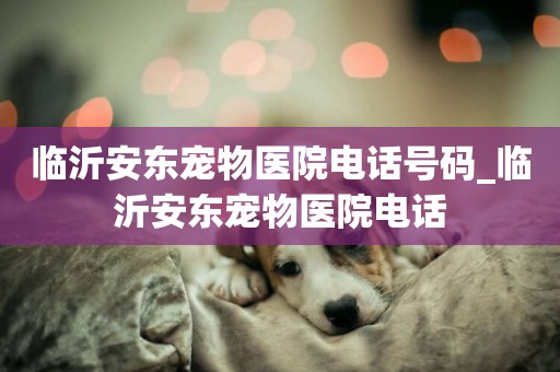 臨沂安東寵物醫院電話號碼_臨沂安東寵物醫院電話