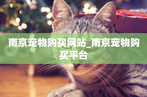 南京寵物購買網站_南京寵物購買平臺
