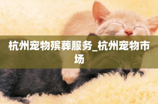 杭州寵物殯葬服務_杭州寵物市場