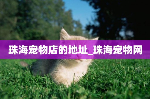 珠海寵物店的地址_珠海寵物網
