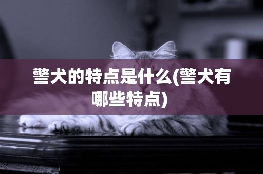 警犬的特點是什么(警犬有哪些特點) 