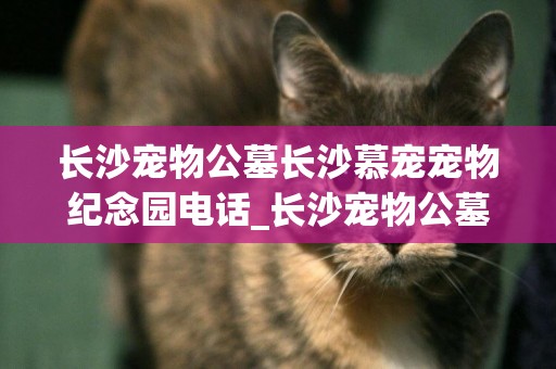 長沙寵物公墓長沙慕寵寵物紀念園電話_長沙寵物公墓首選長沙慕寵寵物紀念園