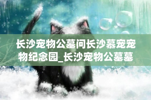 長沙寵物公墓問長沙慕寵寵物紀念園_長沙寵物公墓墓地長沙慕寵寵物紀念園