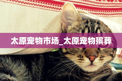 太原寵物市場_太原寵物殯葬