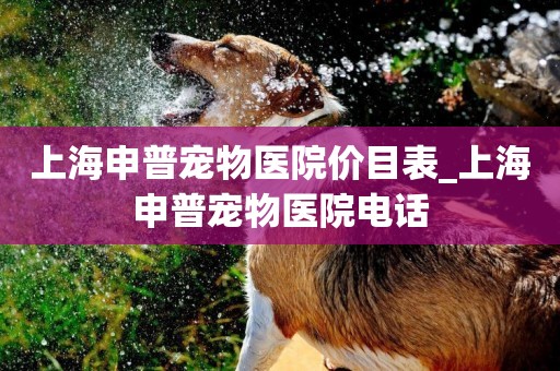 上海申普寵物醫院價目表_上海申普寵物醫院電話