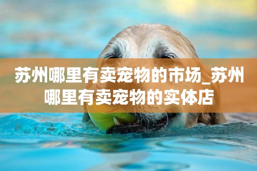 蘇州哪里有賣寵物的市場_蘇州哪里有賣寵物的實體店