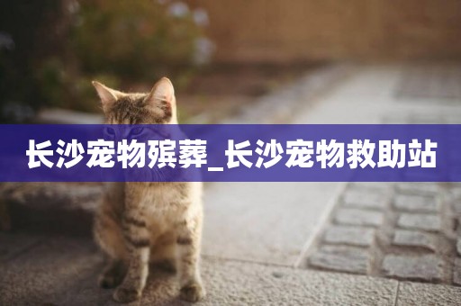 長沙寵物殯葬_長沙寵物救助站