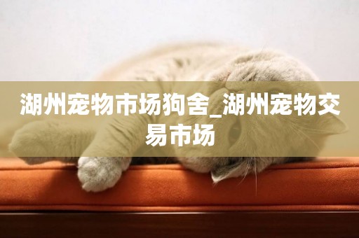 湖州寵物市場狗舍_湖州寵物交易市場