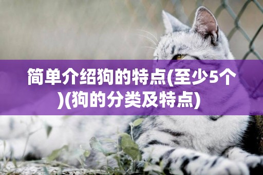 簡單介紹狗的特點(至少5個)(狗的分類及特點) 