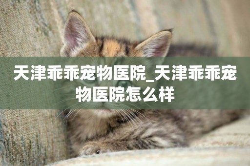 天津乖乖寵物醫院_天津乖乖寵物醫院怎么樣