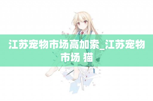 江蘇寵物市場高加索_江蘇寵物市場 貓