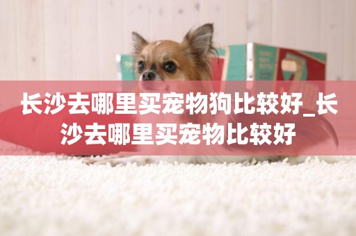 長沙去哪里買寵物狗比較好_長沙去哪里買寵物比較好