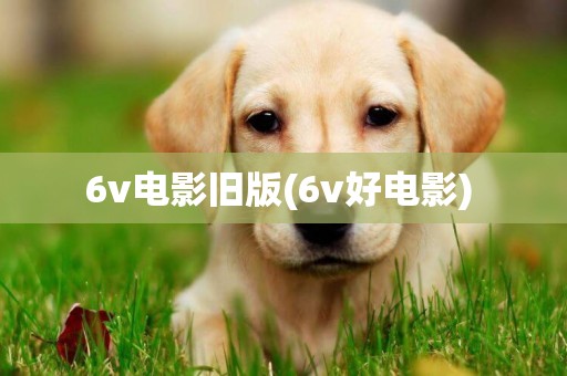 6v電影舊版(6v好電影) 