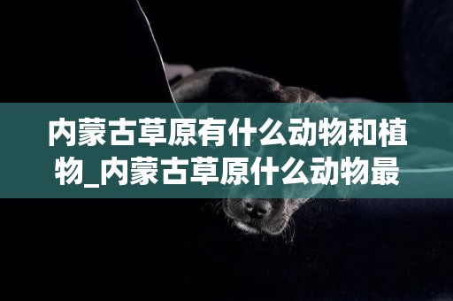 內蒙古草原有什么動物和植物_內蒙古草原什么動物最多