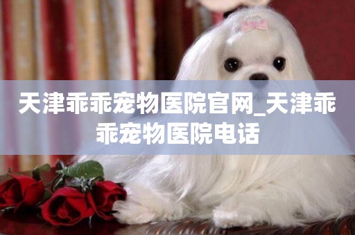 天津乖乖寵物醫院官網_天津乖乖寵物醫院電話