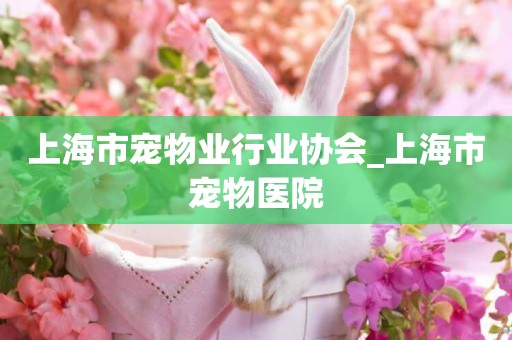 上海市寵物業行業協會_上海市寵物醫院