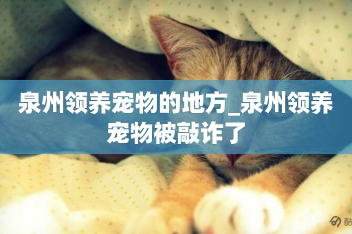 泉州領養寵物的地方_泉州領養寵物被敲詐了