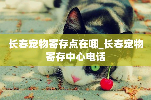 長春寵物寄存點在哪_長春寵物寄存中心電話