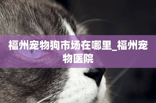 福州寵物狗市場在哪里_福州寵物醫院