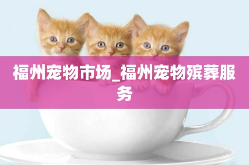 福州寵物市場_福州寵物殯葬服務