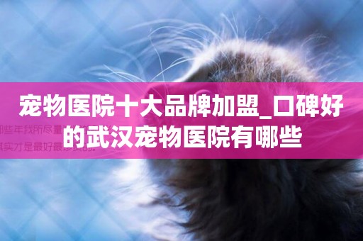 寵物醫院十大品牌加盟_口碑好的武漢寵物醫院有哪些