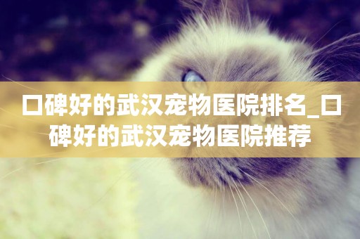 口碑好的武漢寵物醫院排名_口碑好的武漢寵物醫院推薦