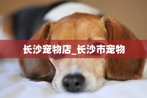 長沙寵物店_長沙市寵物